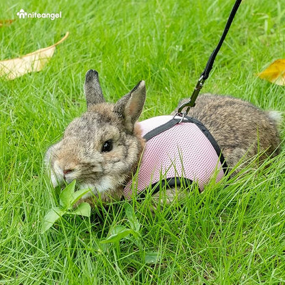 Niteangel Adjustable Soft Harness with Elastic Leash for Rabbits (M, Pink)