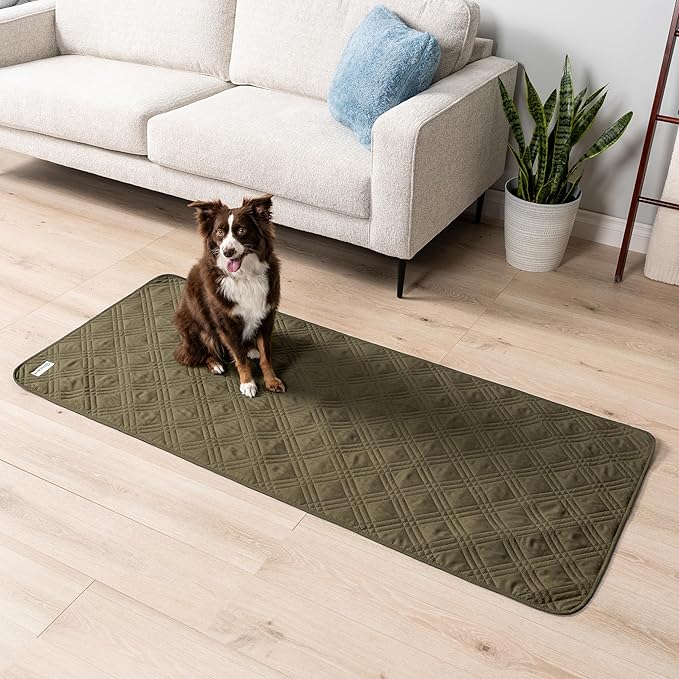PetAmi Waterproof Couch Cover for Dogs 30x70 Green