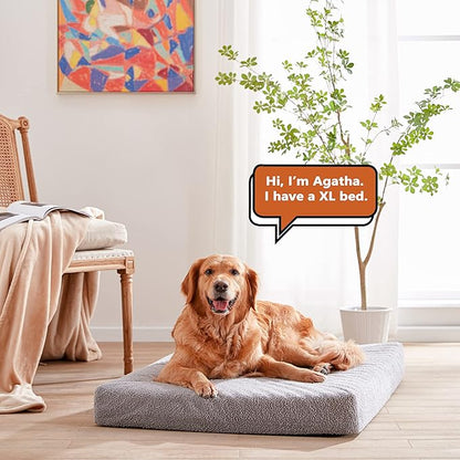 Orthopedic Dog Beds for Large Dogs 60 lbs