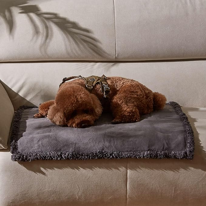 Kritter Planet Waterproof Blanket for Dogs