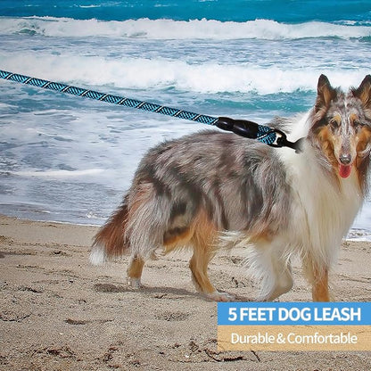 BAAPET 2/4/5/6 FT Dog Leash with Comfortable Padded Handle and Highly Reflective Threads for Small Medium and Large Dogs (5FT-1/2''