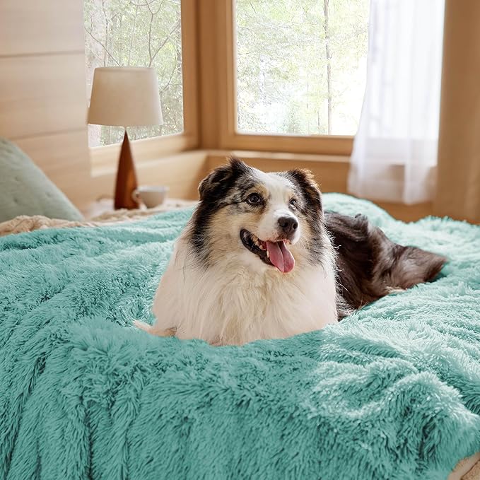 Bedsure Waterproof Dog Blankets for Large Dogs - Calming Cat Blanket for Couch Protector Washable, Long Faux Fur Pet Throw Blanket for Puppy, Reversible Furniture Protection, 50"x60", Light Green