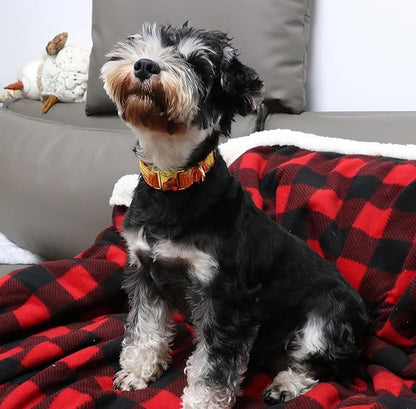 Unique style paws Dog Collar Metal Buckle Collar