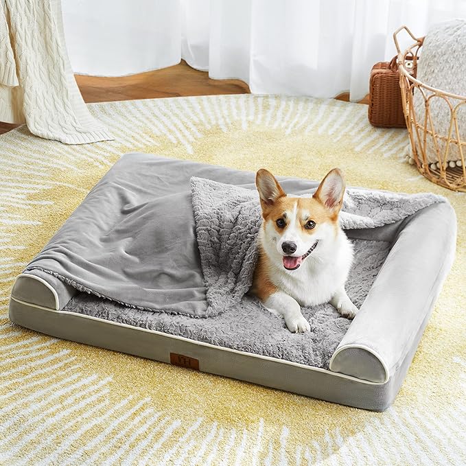 Orthopedic Dog Beds for Large Dogs