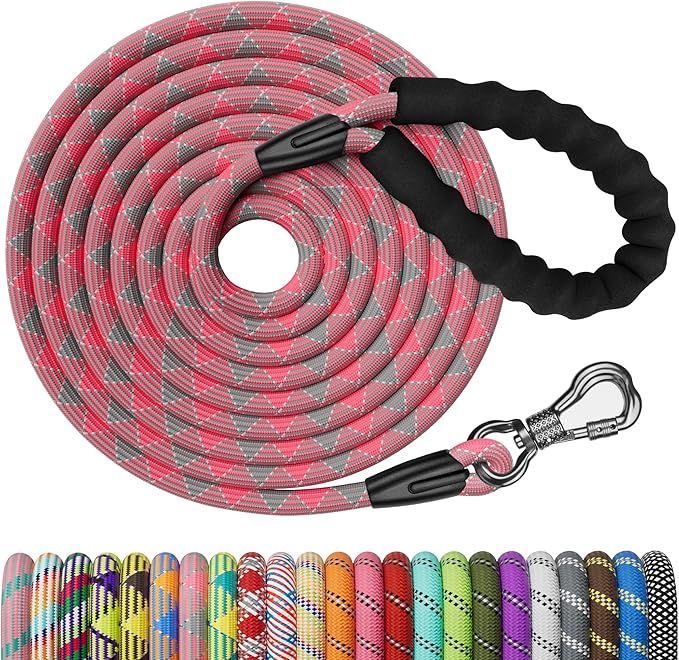 NTR Dog Long Leash 100FT Dog
