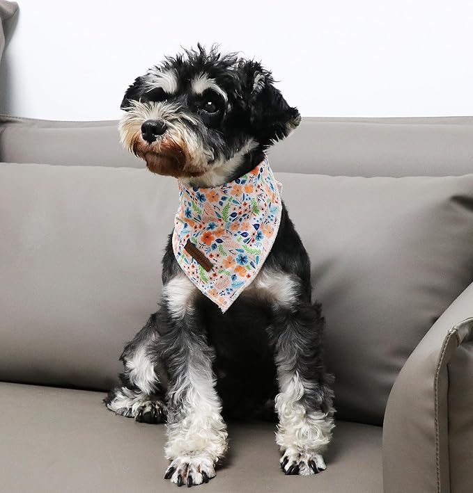 Unique Style Paws Cotton Dog Collar with Bow