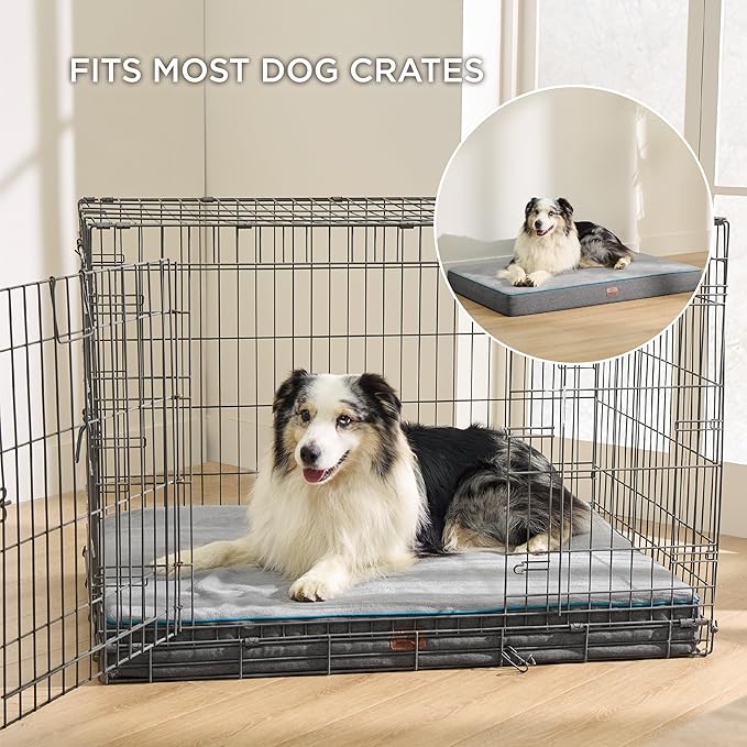 Bedsure Memory Foam Large Plus Dog Bed