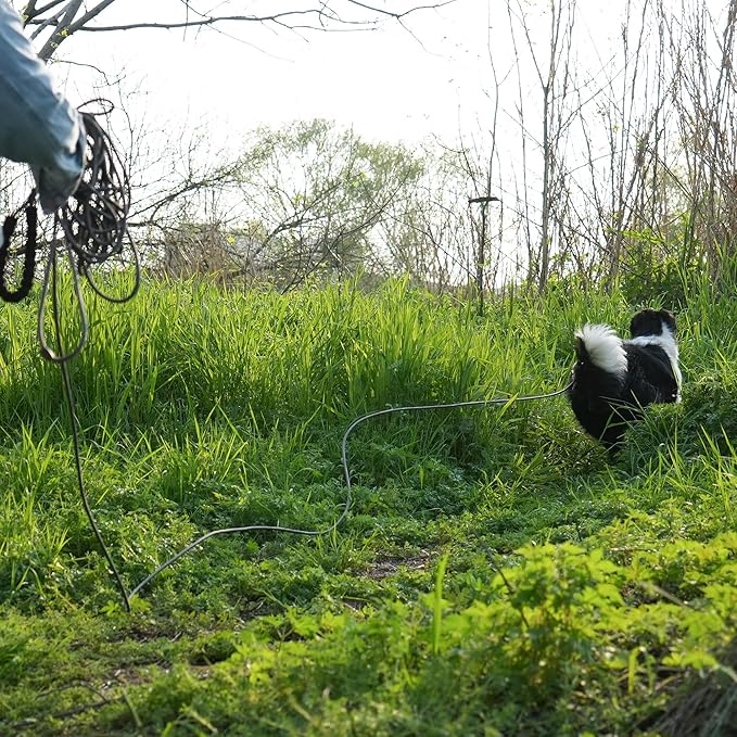 NTR Heavy Duty Dog Leash 30FT Reflective