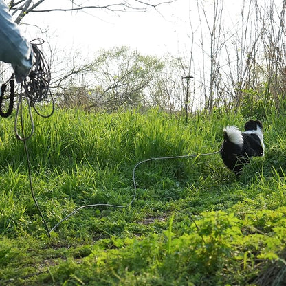 NTR Heavy Duty Dog Leash 30FT Reflective