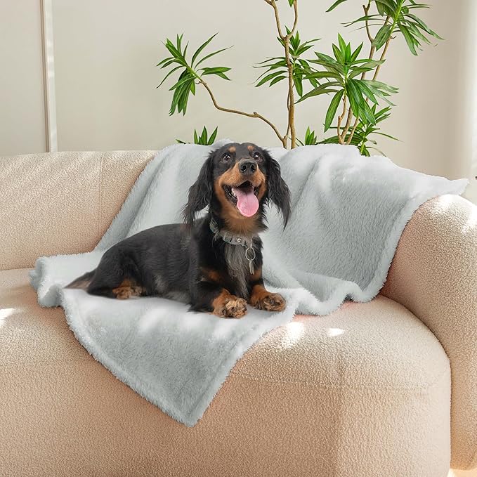 PETHUR Super Soft Dog Blankets for Medium Dogs 29"x40", Light