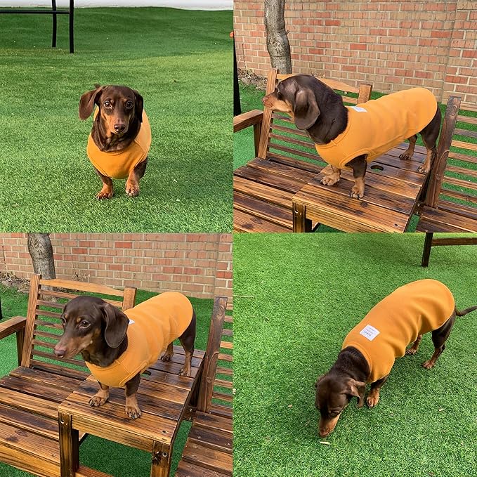 Dachshund Clothes for Dogs Mini and Adults T Shirts (XL