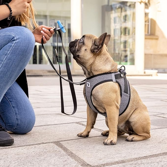 Vest Harness Merino curli Clasp Black L