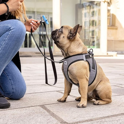 Vest Harness Merino curli Clasp Black L