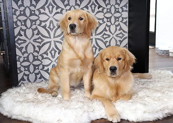 PupRug Orthopedic Dog Bed for Large Dogs with Fluffy Soft Faux Fur and Memory Foam for Joint Pain Relief