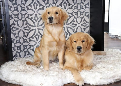 PupRug Orthopedic Dog Bed for Large Dogs with Fluffy Soft Faux Fur and Memory Foam for Joint Pain Relief