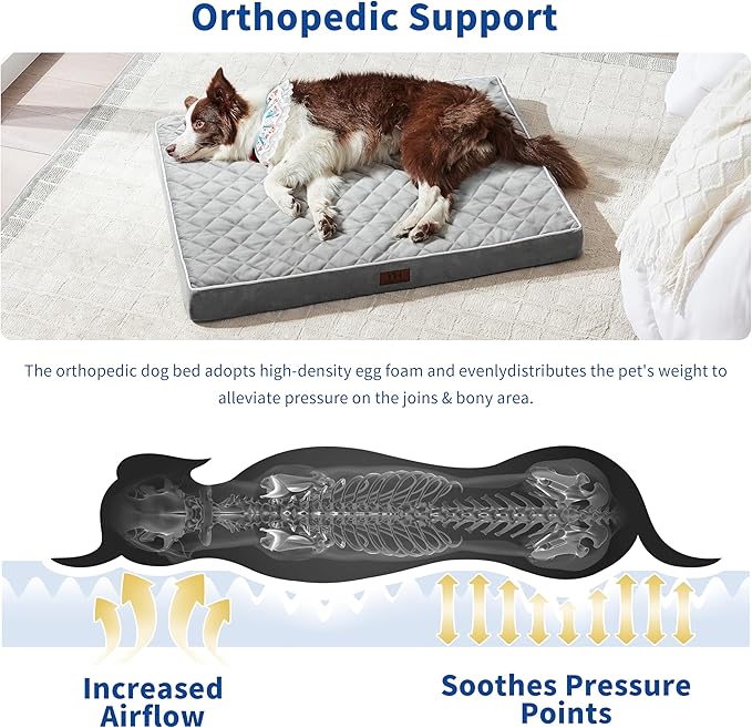 Orthopedic Dog Beds for Large Dogs with Removable Washable Cover 42 inch,