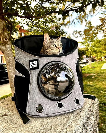 Fat Cat Backpack Carrier - Airline Approved Cat Carrier with Space Capsule Bubble for for Small Cats, Kitten - Premium Grey Heather Cat Carrier Backpack for Outdoor, Travel, Hiking, Pet Supplies