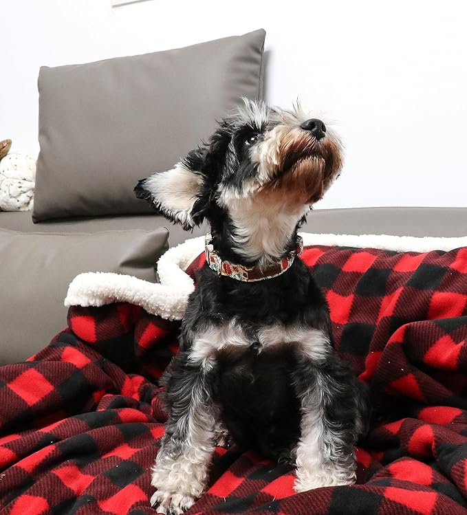 Unique style paws Dog Collar Metal Buckle Collar