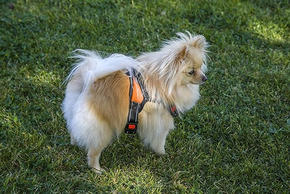 Dog Car Seat Harness