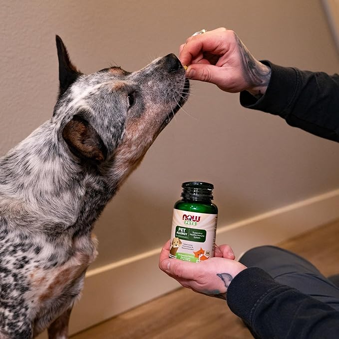 NOW Foods Pet Health 75 Chewable