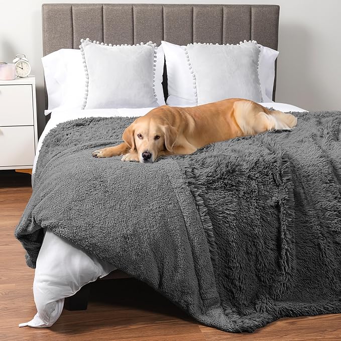 PetAmi Waterproof Dog Blanket for Large Dog 60x80 Gray
