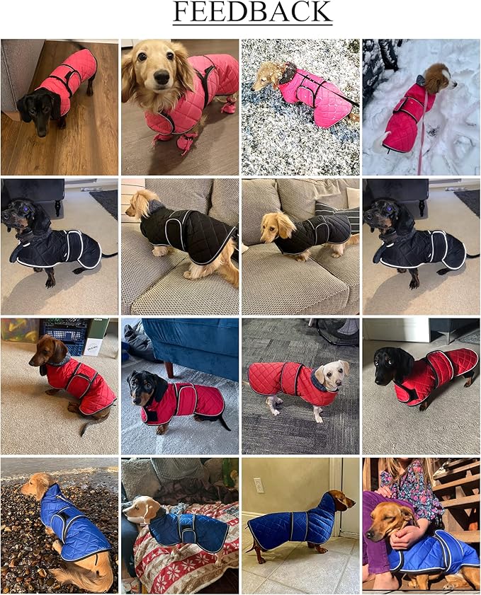 Geyecete Warm Thermal Quilted Dachshund Coat