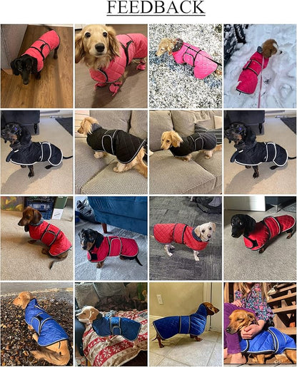 Geyecete Warm Thermal Quilted Dachshund Coat