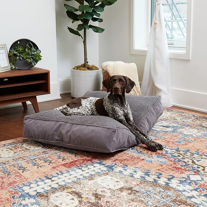Buster Deluxe Reversible Pillow Style Sherpa Dog Bed (42 x 30 in.)