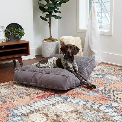 South Pine Porch Buddy Rectangle Pillow Style Dog Bed (42" x 30")