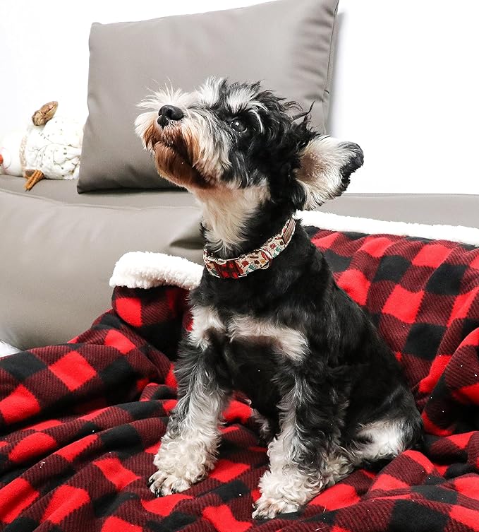 Unique style paws Dog Collar Metal Buckle Collar