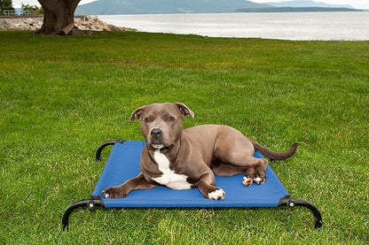 Furhaven Elevated Dog Bed for Small Dogs