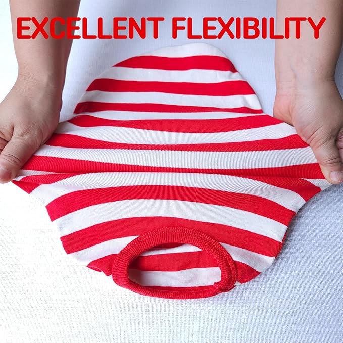 Dachshund Clothes for Dogs Mini and Adults T Shirts (M