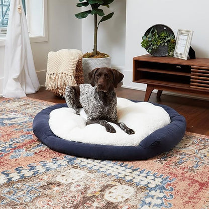 Maddie Donut Dog Bed with Removable Center Pillow (42" x 42")