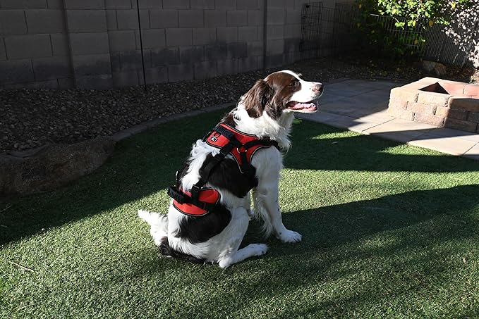 Doggie Stylz Multi-Functional Full-Body Lifting Dog Harness Vest, Designed for Front-Only, Rear-Only or Full-Body Dog Lifting. Please Measure Your Dog Before Ordering.