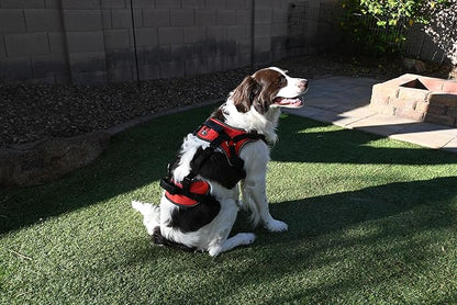 Doggie Stylz Multi-Functional Full-Body Lifting Dog Harness Vest, Designed for Front-Only, Rear-Only or Full-Body Dog Lifting. Please Measure Your Dog Before Ordering.