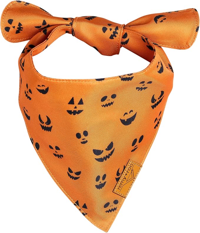 Remy+Roo Dog Bandanas 2 Pack