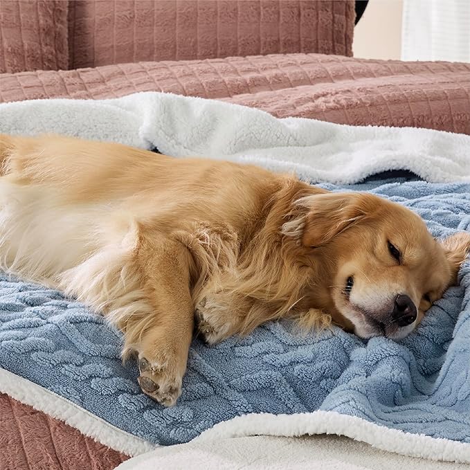 Bedsure Waterproof Dog Blankets for Large Dogs 60x80, Light