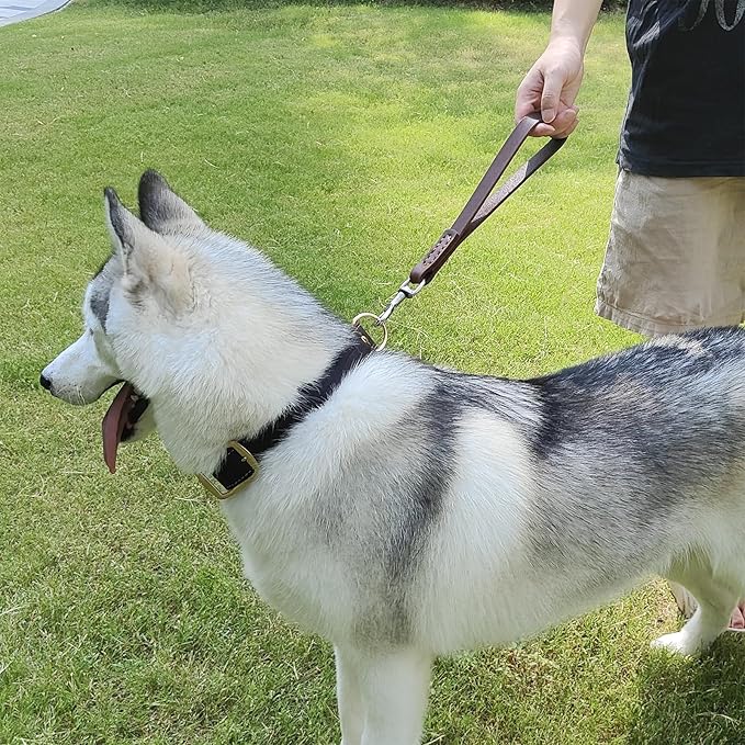 Leather Short Dog Leash 12" 360º Heavy