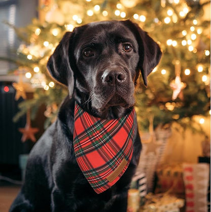 Realeaf Christmas Dog Bandanas 2 Pack