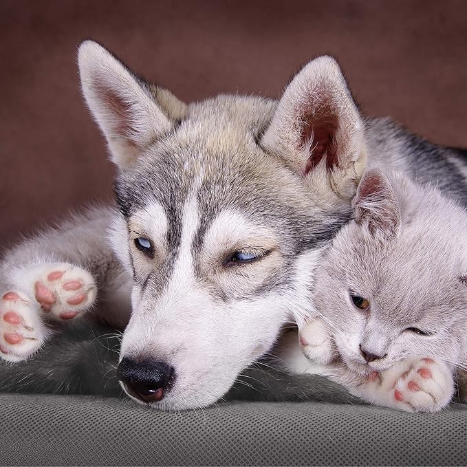 PETMAKER Self-Heating Pet Bed