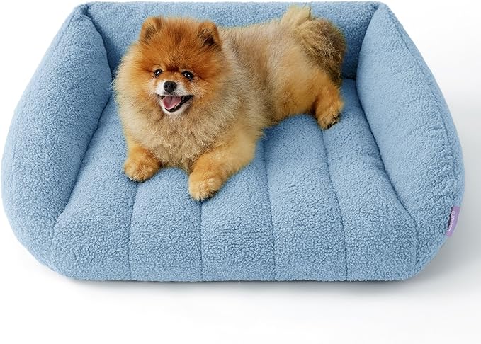 Lesure Orthopedic Dog Bed Sofa for Small Dogs & Cats Foam(24" x 18" x 9.5", Blue)