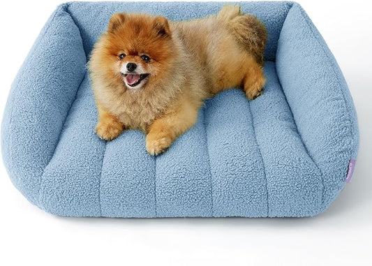 Lesure Orthopedic Dog Bed Sofa for Small Dogs & Cats Foam(24" x 18" x 9.5", Blue)