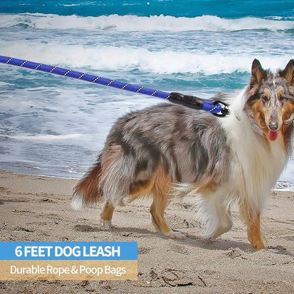 BAAPET 2/4/5/6 FT Dog Leash with Comfortable Padded Handle and Highly Reflective Threads for Small Medium and Large Dogs (6FT-1/2''