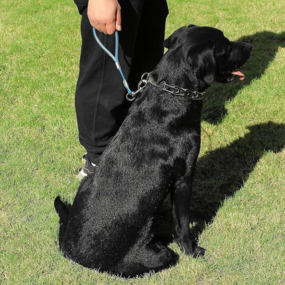 Short Dog Leash Duty-12”/24”Short Chew