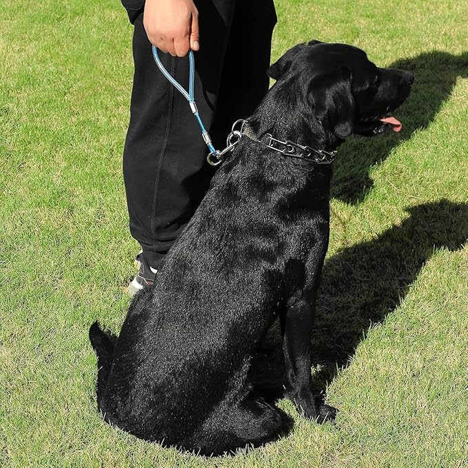 Short Dog Leash Duty-12”/24”Short Chew