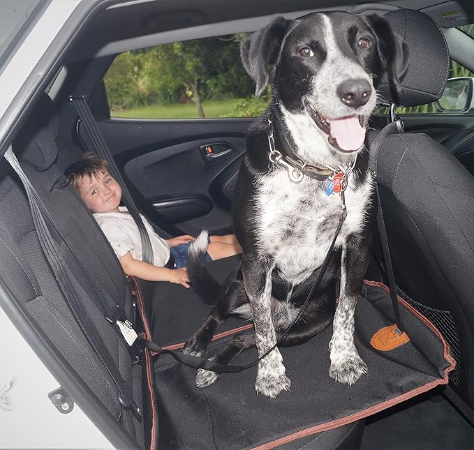 Backseat Extender for Dogs