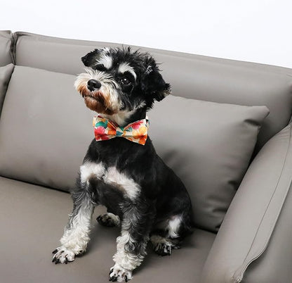 Unique Style Paws Cotton Dog Collar with Bow
