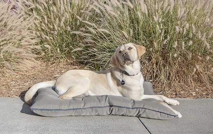 TrustyPup Dura Mat Tufted Pillow Pet Bed 36.0" L 27.0" W 5.0" Th