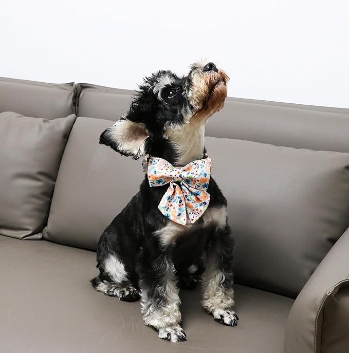 Unique Style Paws Cotton Dog Collar with Bow