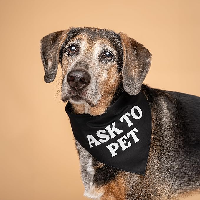 Ask to Pet Dog Bandana (Red 408)